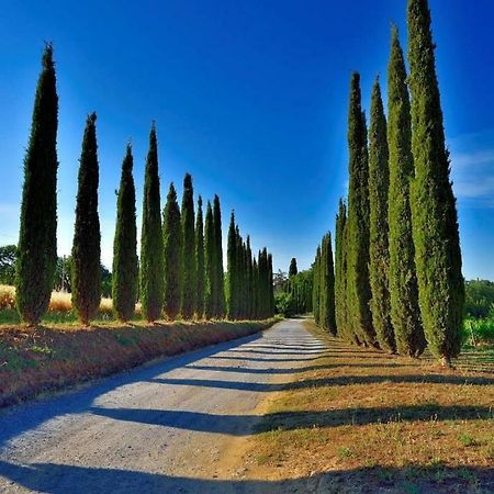 Agriturismo Boschetto Di Montiano Montiano  Ngoại thất bức ảnh