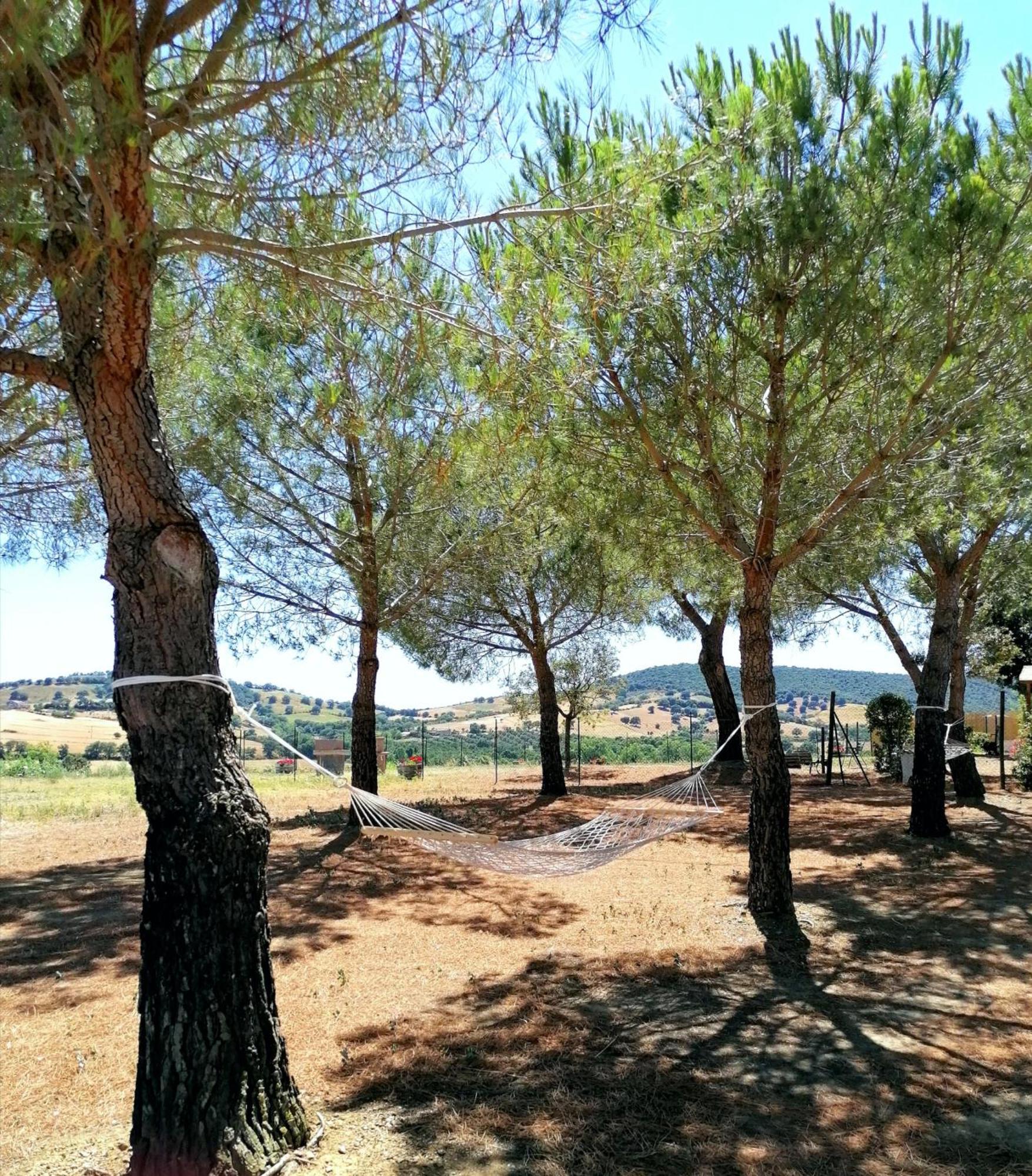 Agriturismo Boschetto Di Montiano Montiano  Phòng bức ảnh