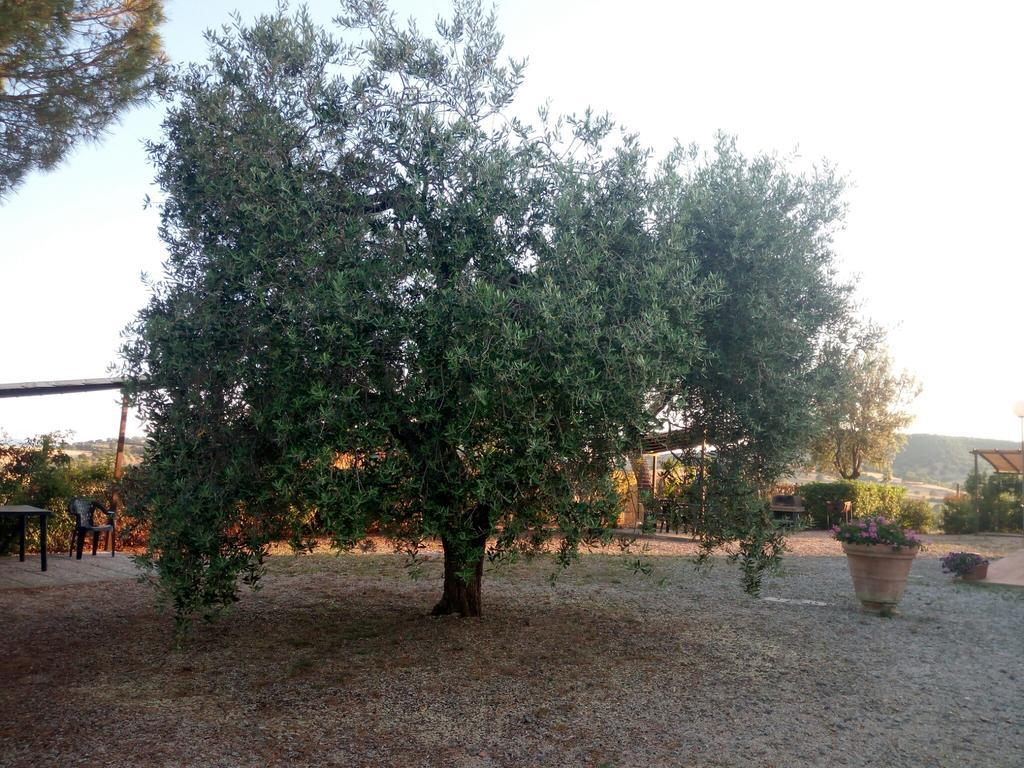 Agriturismo Boschetto Di Montiano Montiano  Ngoại thất bức ảnh