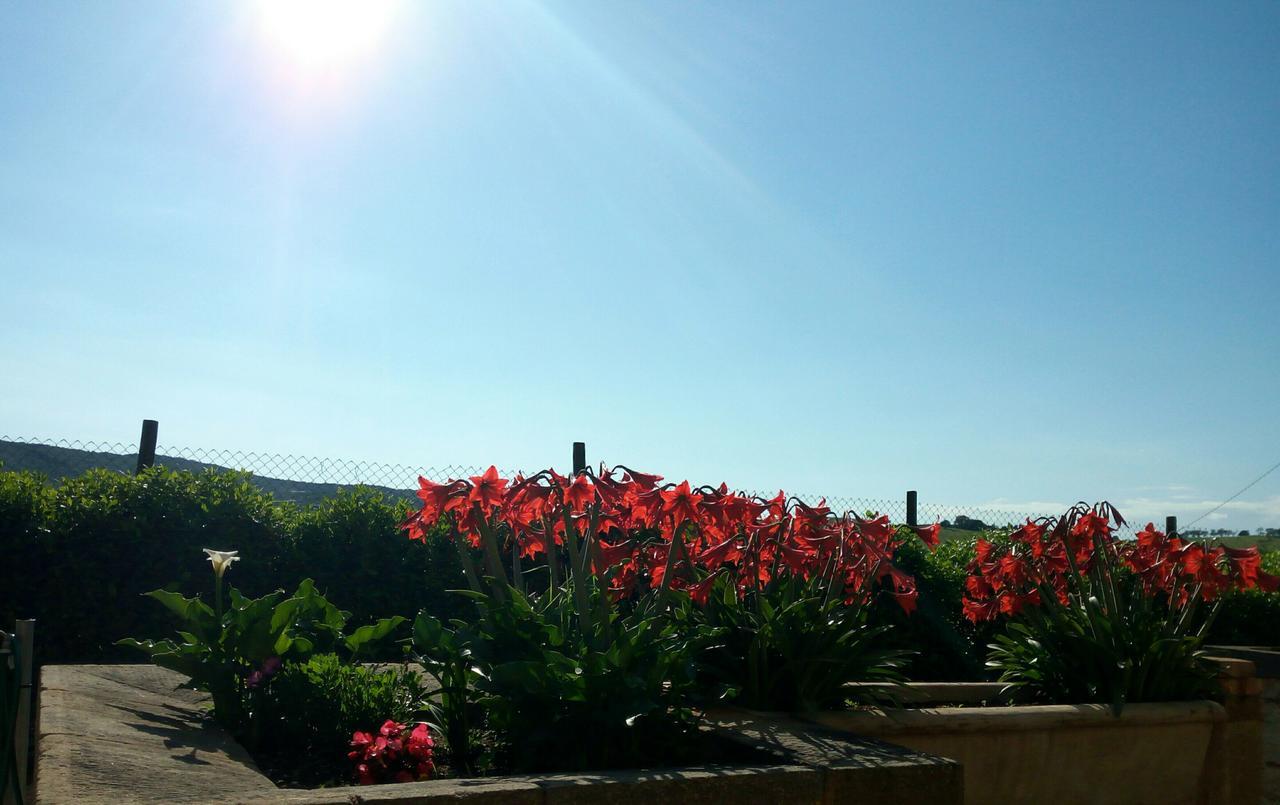 Agriturismo Boschetto Di Montiano Montiano  Ngoại thất bức ảnh